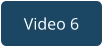 Video 6